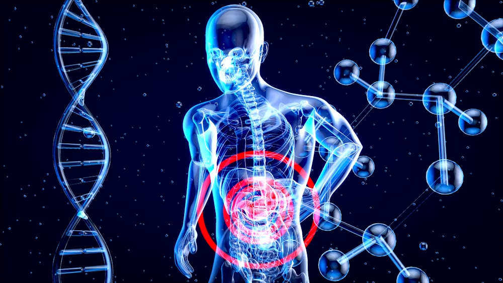 Digestive health condition education